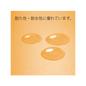 プラス PPフラットファイル A3ヨコ イエロー FCA8666-98-877/No.102P-イメージ6
