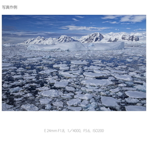SONY 単焦点レンズ Sonnar T* E 24mm F1．8 ZA SEL24F18Z-イメージ4