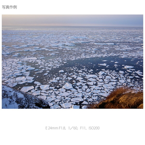 SONY 単焦点レンズ Sonnar T* E 24mm F1．8 ZA SEL24F18Z-イメージ8
