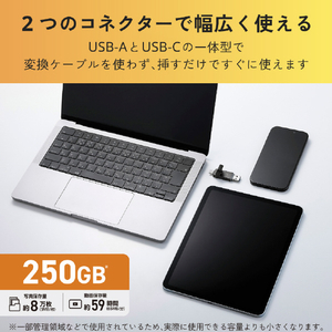 エレコム USB Type-C(TM)/USB-Aコネクター対応外付けポータブルSSD グレー ESD-EPD0250GGY-イメージ5