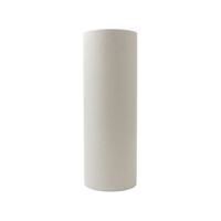 カモ井 mt casa paintable tape 300mm FC887RU-758GR300