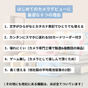 レクリッド ミニピク MINIPIC-PB-O パステルピンク MINIPIC-PP-Oﾊﾟｽﾃﾙﾋﾟﾝｸ-イメージ3