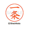 シヤチハタ ネームペン用ネーム シルバー 既製 一条 FC46021-X-GPS-0250