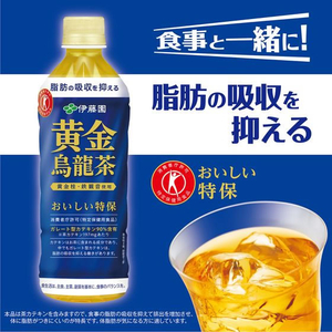 伊藤園 黄金烏龍茶 500mL×48本 FCA7653-イメージ2