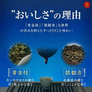 伊藤園 黄金烏龍茶 500mL×48本 FCA7653-イメージ3