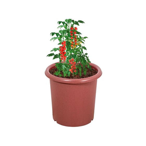 ＬＩＶ ＰＬＵＳ ベストコ 植木鉢 鉢 ポット 10号 テラコッタ FCE187W-MA-4190-イメージ2
