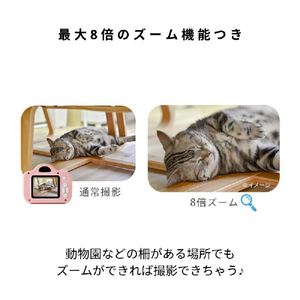 レクリッド ミニピク MINIPIC-PB-O パステルグリーン MINIPIC-PGR-Oﾊﾟｽﾃﾙｸﾞﾘ-ﾝ-イメージ11