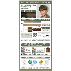 マンダム ルシード デザインヘアカラー マットアッシュ 2M FC833RH-イメージ2