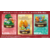 リーメント ポケットモンスター Journey with You!Anniversary はじまりの冒険 ECﾎﾟｹﾓﾝJOURNEYﾊｼﾞﾏﾘﾉﾎﾞｳｹﾝ-イメージ2
