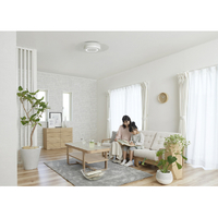 アイリスオーヤマ CEK-A12DLPV ～12畳用 LEDシーリングライト