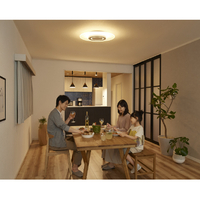 アイリスオーヤマ CEK-A12DLPV ~12畳用 LEDシーリングライト アイリスオーヤマ CEK-A12DLPV ~12畳用 LEDシーリングライト