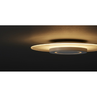 アイリスオーヤマ CEK-A12DLPV ～12畳用 LEDシーリングライト