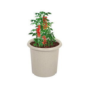 ＬＩＶ ＰＬＵＳ ベストコ 植木鉢 鉢 ポット 10号 アイボリー FCE188W-MA-4191-イメージ2