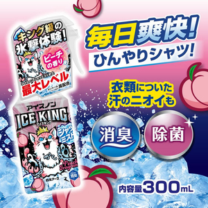 白元アース アイスノン シャツミスト ICE KING ピーチの香り 詰替え FC619TF-イメージ3