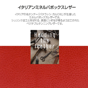 SLG Design iPhone XR用ケース Minerva Box Leather Case タン SD13680I61-イメージ4