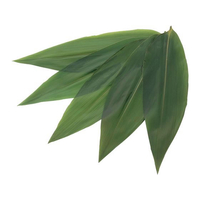 江部松商事 EBM/天然笹葉 100枚入 5143 7L/8L FC827LN-5282110