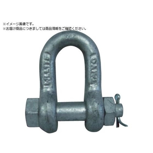 ＴＡＩＹＯ TAIYOシャックルM ドブ SB-18 3005576 TSB18G FCD489D-3403302-イメージ1