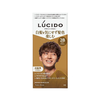 マンダム ルシード デザインヘアカラー モダンブラウン 2B FC834RH
