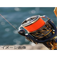サンライン磯スペシャルビジブルトマト 磯スペシャル ビジブルトマト | サンライン