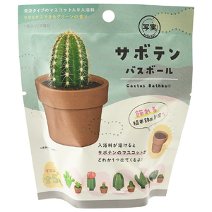 ノルコーポレーション サボテンフィズ ｼﾔｼﾞﾂｻﾎﾞﾃﾝﾊﾞｽﾎﾞ-ﾙ-イメージ1