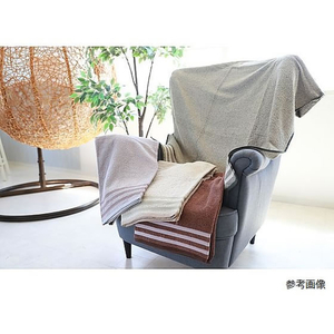 林 超大判タオル BEIGE 100×180cm 10枚入 FCG435U-54-0054-86-イメージ2