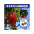 アーテック 吊り下げ式 防鳥キラキラフクロウくん 2個入 FCE954R-35203-イメージ5