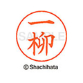 シヤチハタ ネームペン用ネーム シルバー 既製 一柳 FC46027-X-GPS-0256