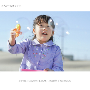 SONY ミラーレス一眼カメラ α シルバー ILCE-6400XS-イメージ16