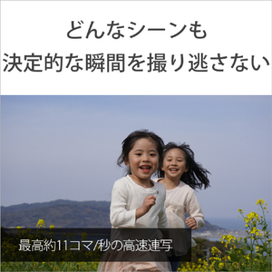 SONY ミラーレス一眼カメラ α シルバー ILCE-6400XS-イメージ8