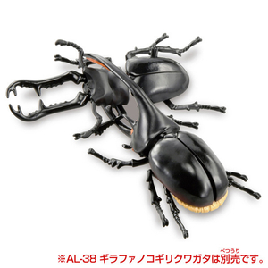 タカラトミー アニア AL-39 ネプチューンオオカブト ｱﾆｱAL39ﾈﾌﾟﾁﾕ-ﾝｵｵｶﾌﾞﾄ-イメージ7