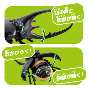 タカラトミー アニア AL-39 ネプチューンオオカブト ｱﾆｱAL39ﾈﾌﾟﾁﾕ-ﾝｵｵｶﾌﾞﾄ-イメージ8
