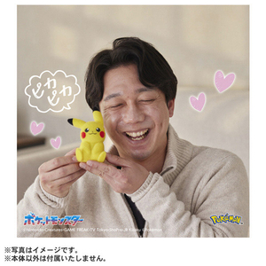 タカラトミー ポケットモンスター てのひらピカチュウ ぽけふわ ピカチュウ ﾃﾉﾋﾗﾋﾟｶﾁﾕｳﾎﾟｹﾌﾜ-イメージ4