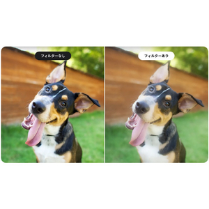 insta360 Ace Pro 2 ブラックミストフィルター CINSEBGA-イメージ8