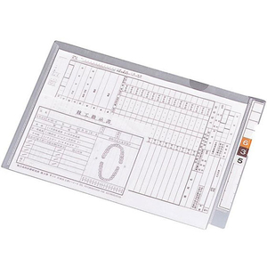 リヒトラブ カルテフォルダー フラップ付シングル横型 B5 100枚 FC64982-HK2005-イメージ1