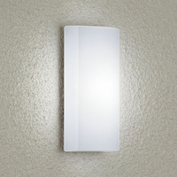 ダイコウデンキ LED屋外灯 DXL81346C