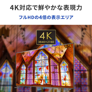 I・Oデータ 65型4K液晶ディスプレイ (抗菌モデル)（受注生産） LCD-U651D-AG-イメージ4