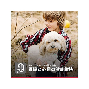 日本ヒルズ・コルゲート サイエンス・ダイエット シニア 小型犬用 高齢犬用 1.5kg FC318PJ-2725J-イメージ7