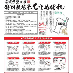 神明 宮城県産 特別栽培米 ひとめぼれ 5kg FCJ950B-イメージ2