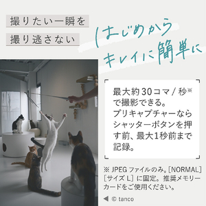 ニコン デジタル一眼カメラ・Z50II ダブルズームキット Z Z50IIﾀﾞﾌﾞﾙｽﾞ-ﾑｷﾂﾄ-イメージ6