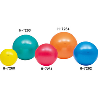 トーエイライト TOEI LIGHT トーエイライト/ボディーボール 65 FCG350Z-H7262