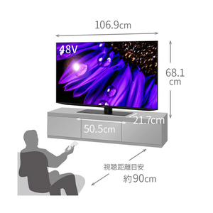 シャープ 48V型4Kチューナー内蔵4K対応有機ELテレビ AQUOS OLED 4TC48EQ2-イメージ5
