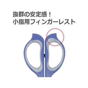 プラス プラス はさみ フィットカット イージーグリップ フッ素 34383 10個セット FCC8508-34383/SC-165SF-イメージ4