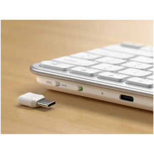 Satechi Sastechi Slim EX1 Wireless Keyboard US Layout (シルバー) (S-EN)シルバー PST-KEX1S-EN-イメージ16
