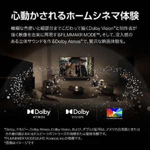 LGエレクトロニクス 65V型4Kチューナー内蔵4K対応有機ELテレビ OLED65M4PJA.AJLG-イメージ17