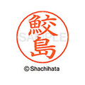 シヤチハタ ネームペン用ネーム シルバー 既製 鮫島 FC47024-X-GPS-1253