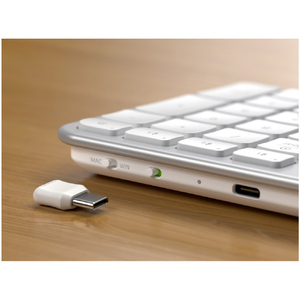 Satechi Sastechi Slim EX3 Wireless Keyboard US Layout (S-EN)シルバー PST-KEX3S-EN-イメージ15