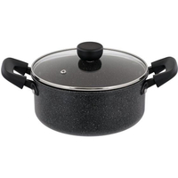 ＬＩＶ ＰＬＵＳ ベストコ 両手鍋 20cm ダークグレー FCE217W-NM-363