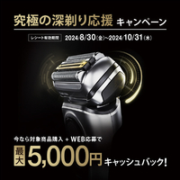 3枚刃シェーバー充電式スタンド BARUN 8517S-V ブラウン 8517S-V 3枚刃シェーバー マットシルバー|エディオン