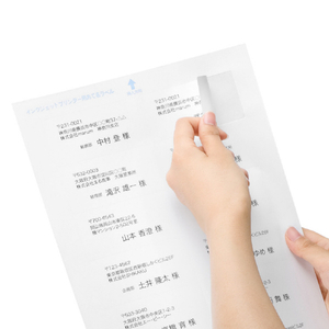 サンワサプライ インクジェットプリンタ用宛名ラベル JP-TA10AN-イメージ2