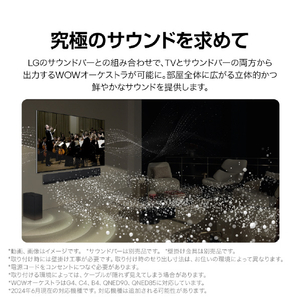 LGエレクトロニクス 65V型4Kチューナー内蔵4K対応有機ELテレビ OLED65G4PJB-イメージ11